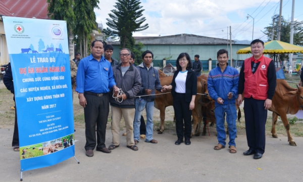 Cô gái Hà Lan trao tặng 80 con bò cho nông dân nghèo Lâm Đồng trong năm 2017